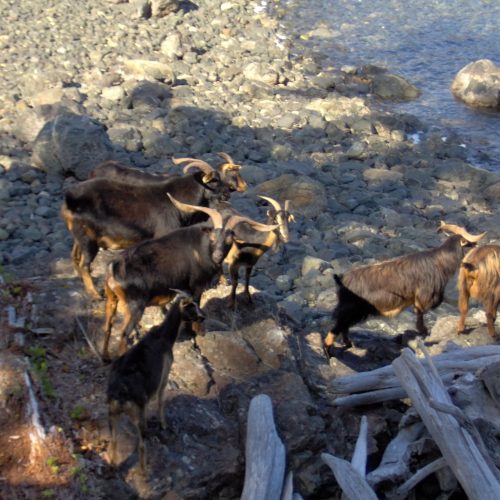 imgi_49_39d096_39ab89fae96c46669fa8d1ccb1939d73~mv2_d_2048_1536_s_2