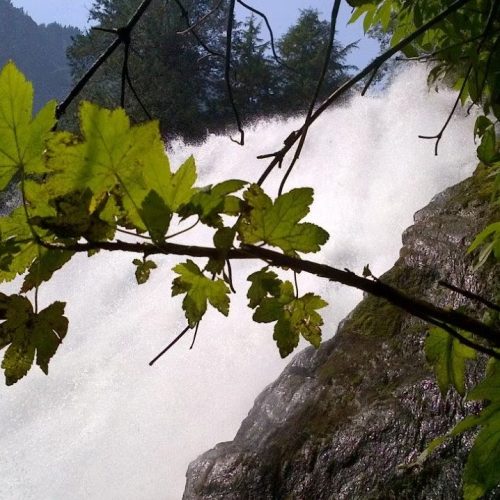 imgi_50_39d096_6b0bb2f05bc74f92ae88f13bbe49cad9~mv2