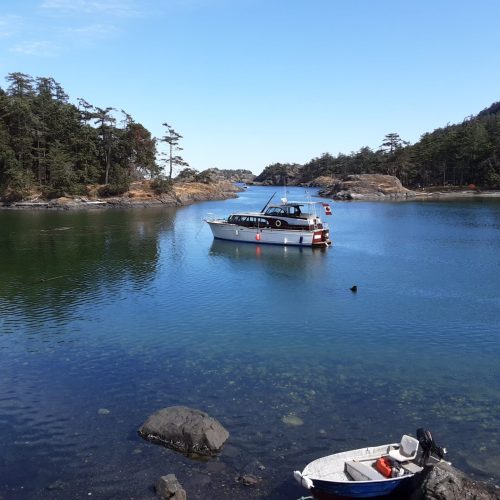 imgi_51_7789b9_c605bae31d9848009355de5bae28c77f~mv2