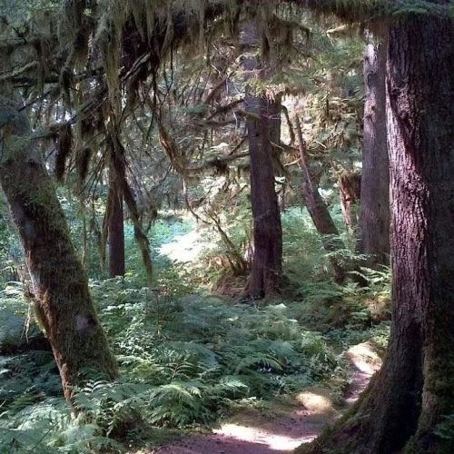 imgi_53_39d096_71db593f1a1a4e9385477ff89998b60d~mv2