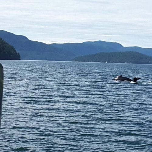 imgi_54_39d096_4defbff89ba549d796db4ea26cfa5a77~mv2