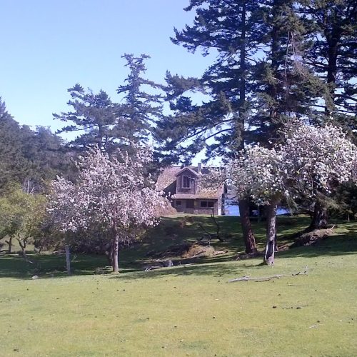 imgi_54_39d096_8965a5cd55e14b9da0362771cf07e217~mv2_d_2592_1456_s_2