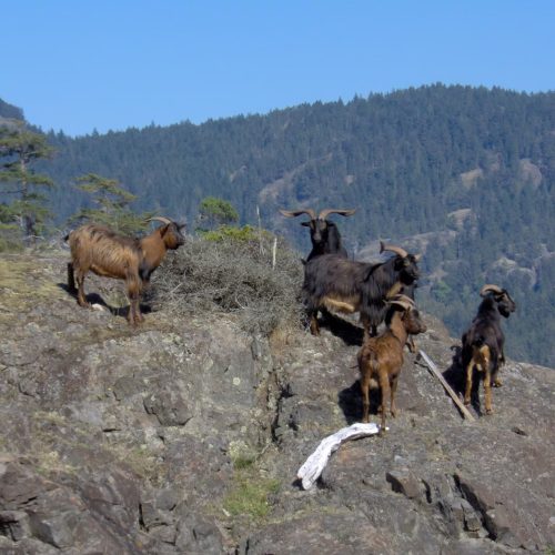 imgi_55_39d096_0bf6094edcd9410fad48be83a49f9fd9~mv2_d_2048_1536_s_2