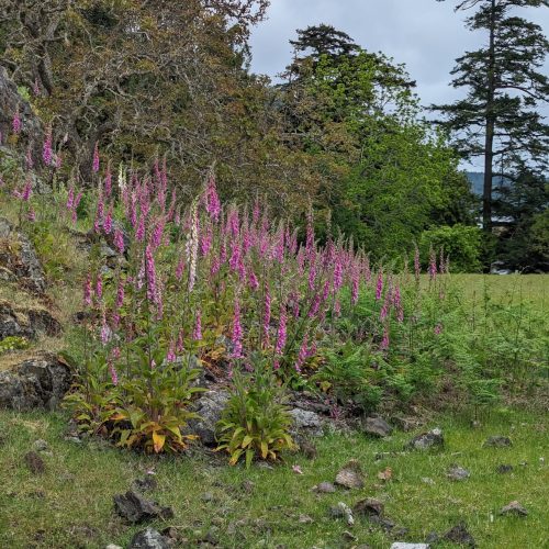 imgi_57_7789b9_12e05489b5b342c3a9f88eb15c7f912d~mv2