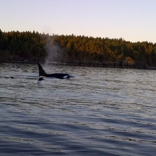 imgi_5_39d096_8f83d92db5e944b9a5c6fb29dddc109f~mv2_d_2592_1456_s_2