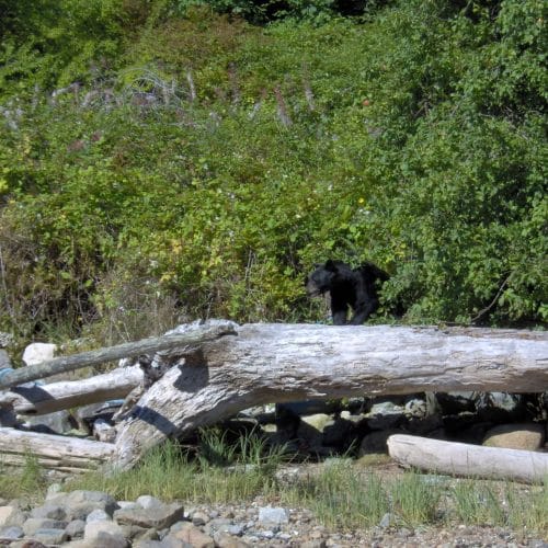 imgi_62_39d096_6fedac85e37f4175b0badfb816953917~mv2_d_2048_1536_s_2