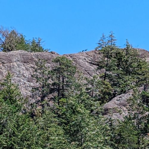 imgi_62_7789b9_b3530ca33e954c9eb6bdf608342b366b~mv2