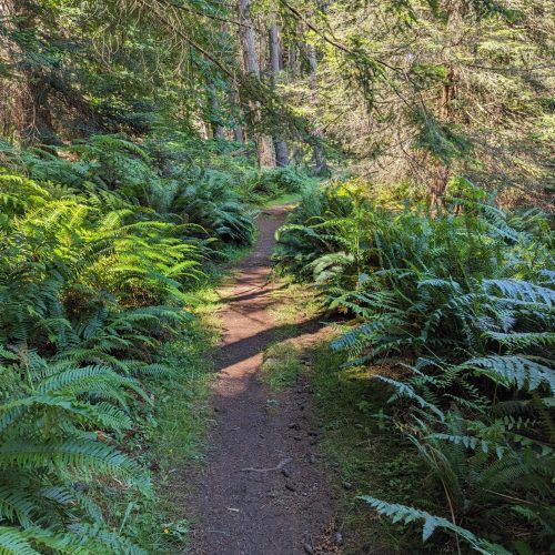 imgi_65_7789b9_3d77e7e27d9641ffa4cc18040b20c801~mv2