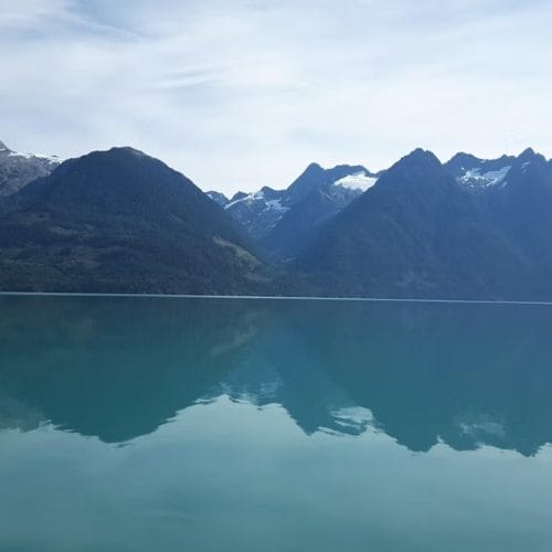 imgi_7_39d096_7c5c69ba2fc044959411db5458113d91~mv2