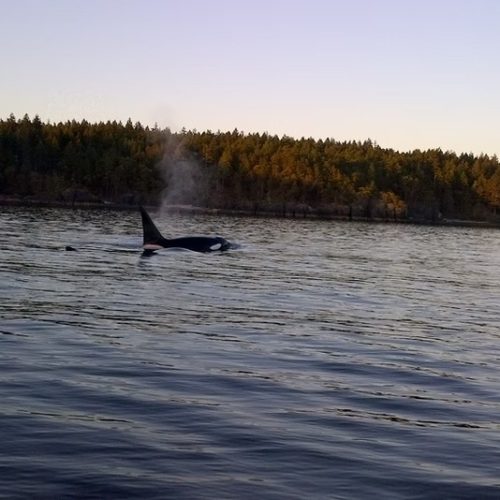 imgi_9_39d096_8f83d92db5e944b9a5c6fb29dddc109f~mv2_d_2592_1456_s_2